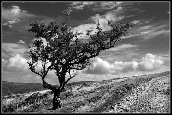 The Great Road