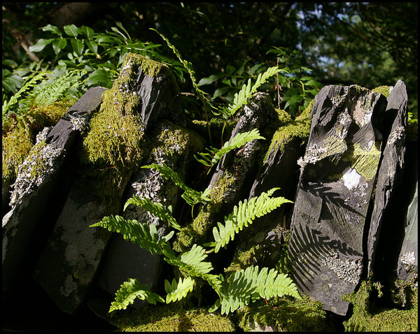 Welsh Slate Wall