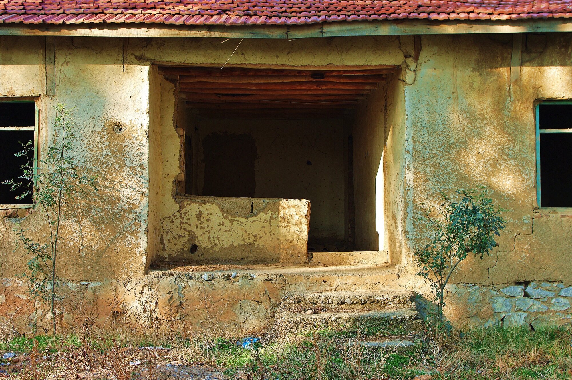 Derelict House 2