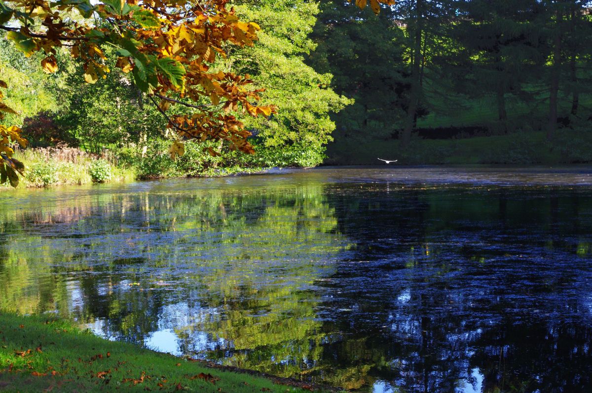 Teggs Nose pool