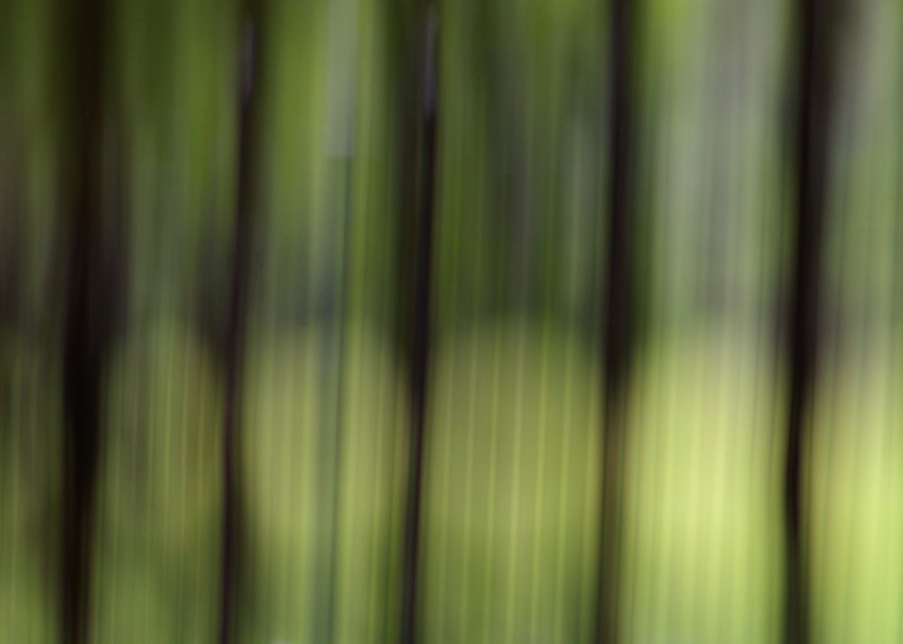Abstract