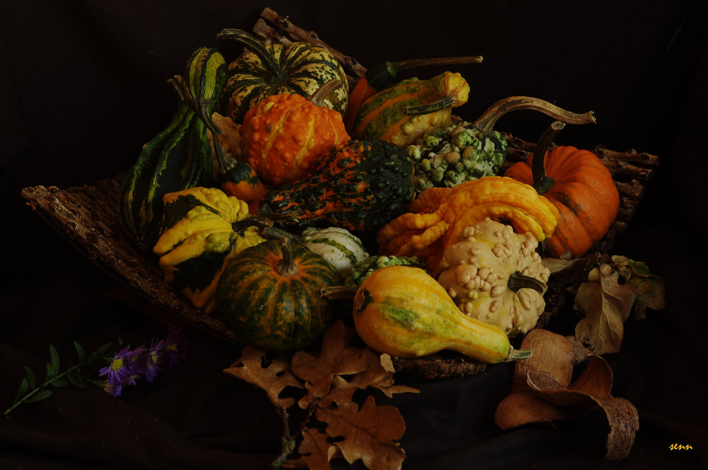 autumn colours