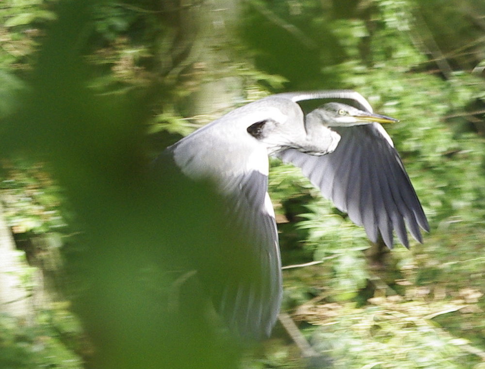 They never get away from  my camera