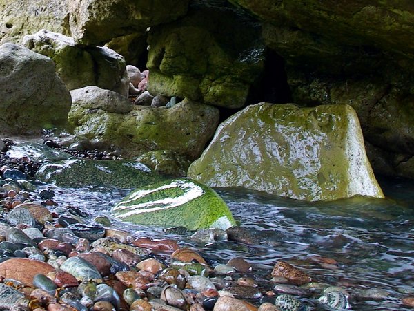 Arches