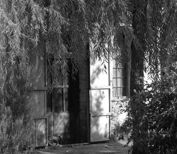 Back Door