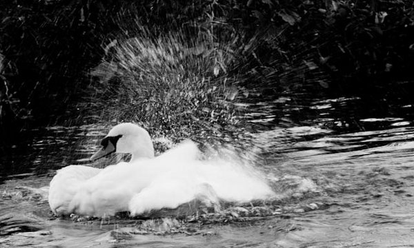 Bathtime