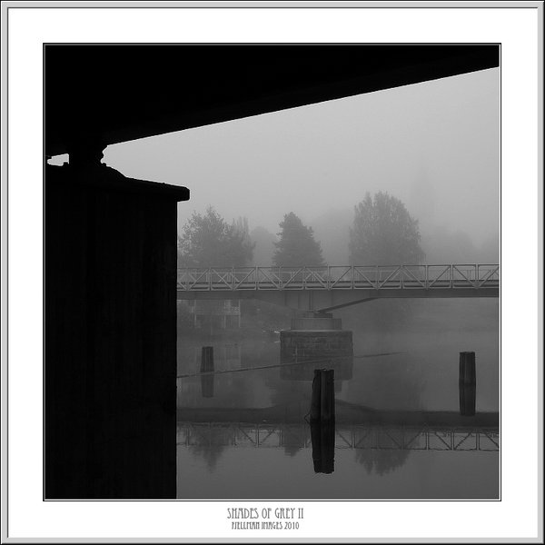 Shades of grey II
