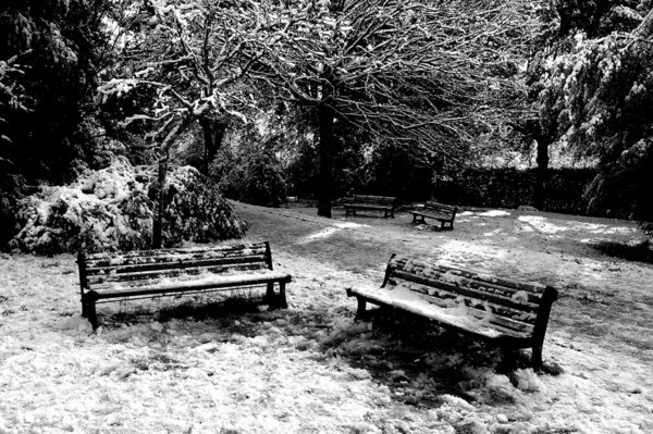 Snowfall