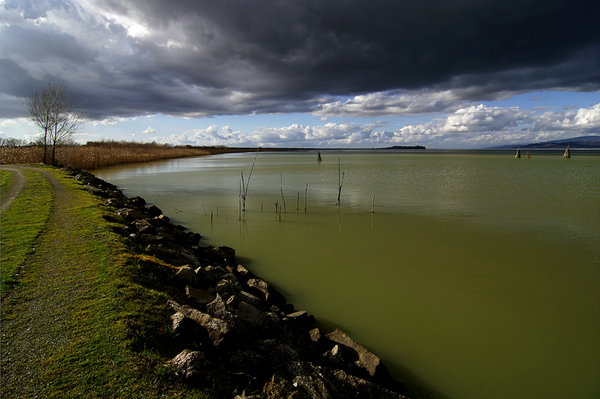 Sunset on Olive Oil's Lake