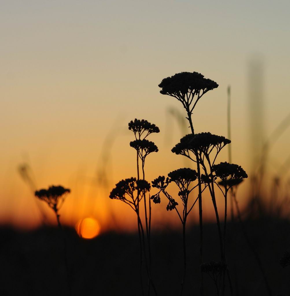 burial of nature ..