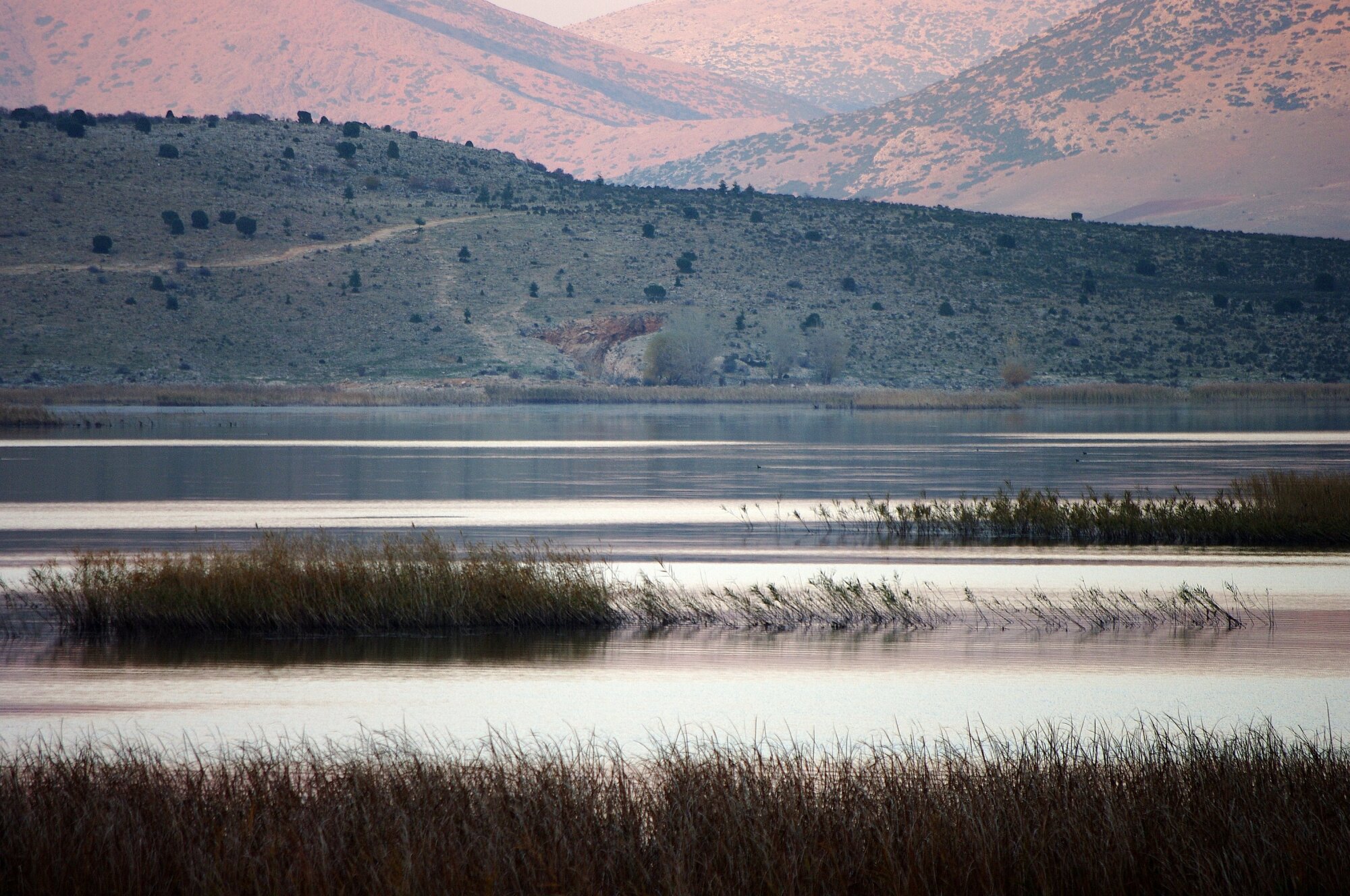 Lake Scene
