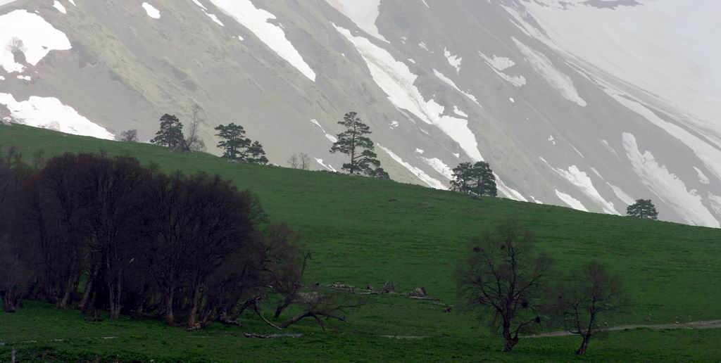 mountain landscape