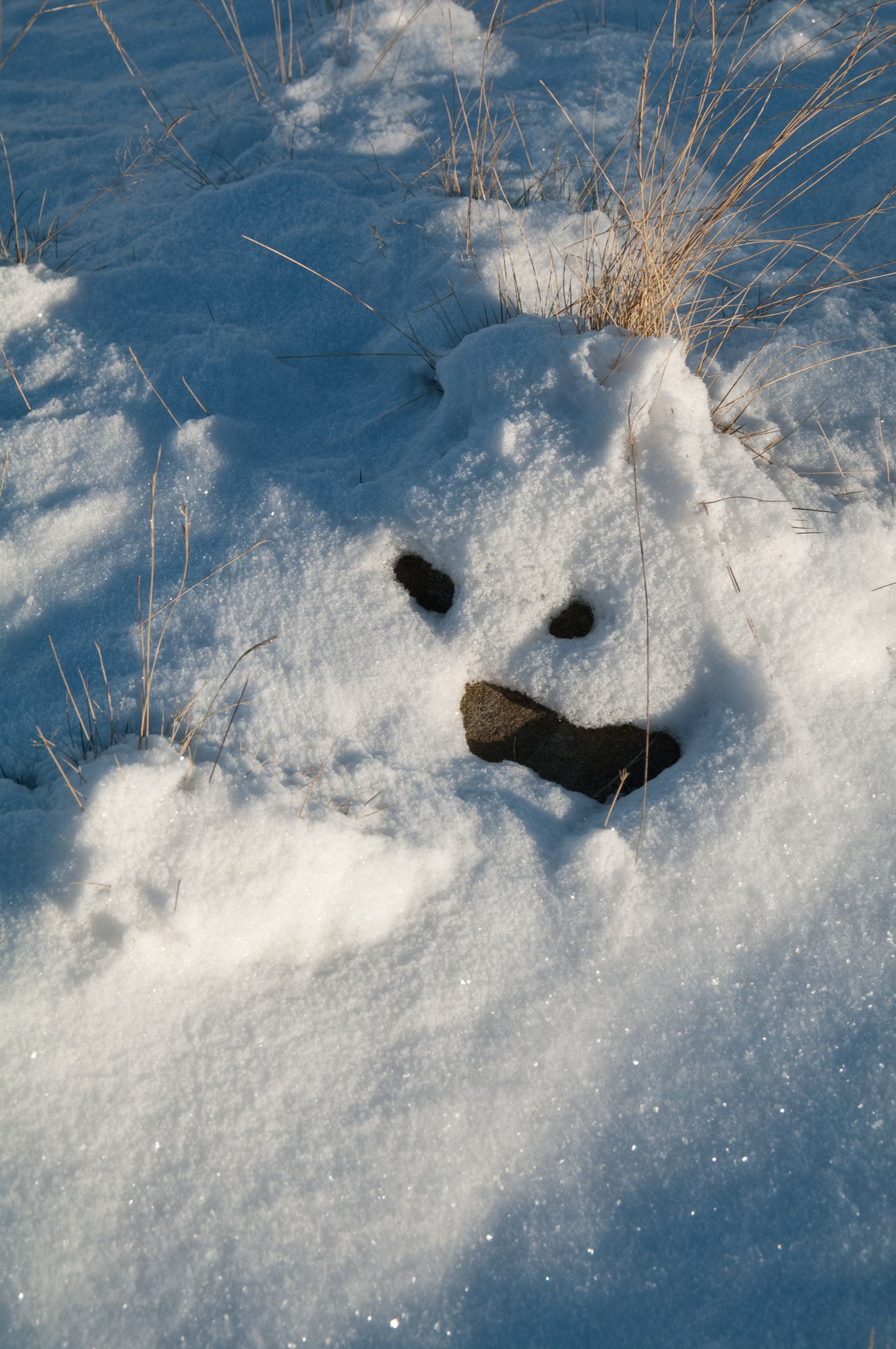 snow monster