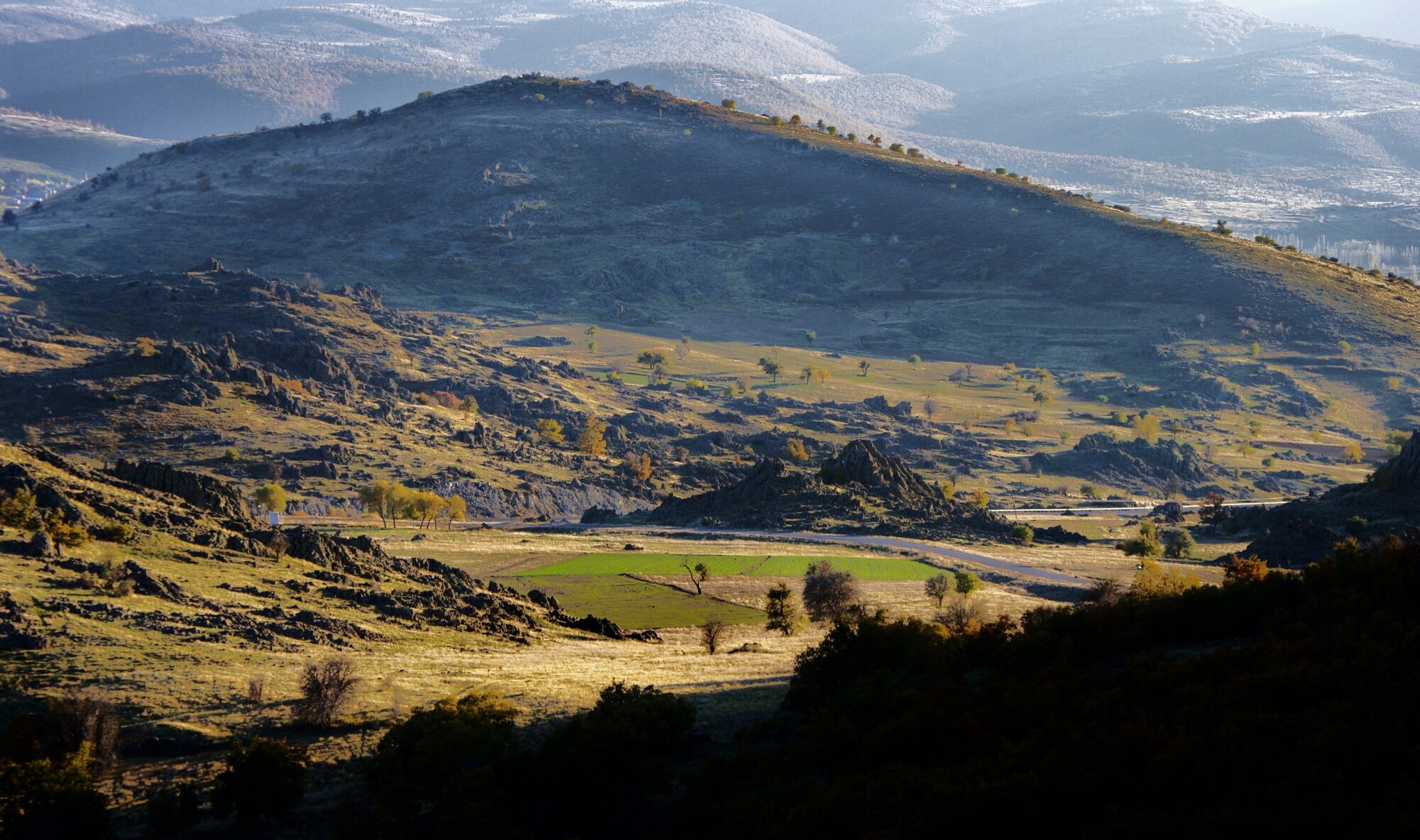 The Bowl