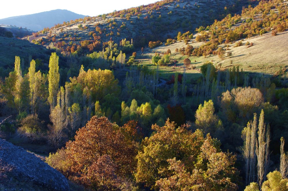 Autumn in Valley and  on Hill