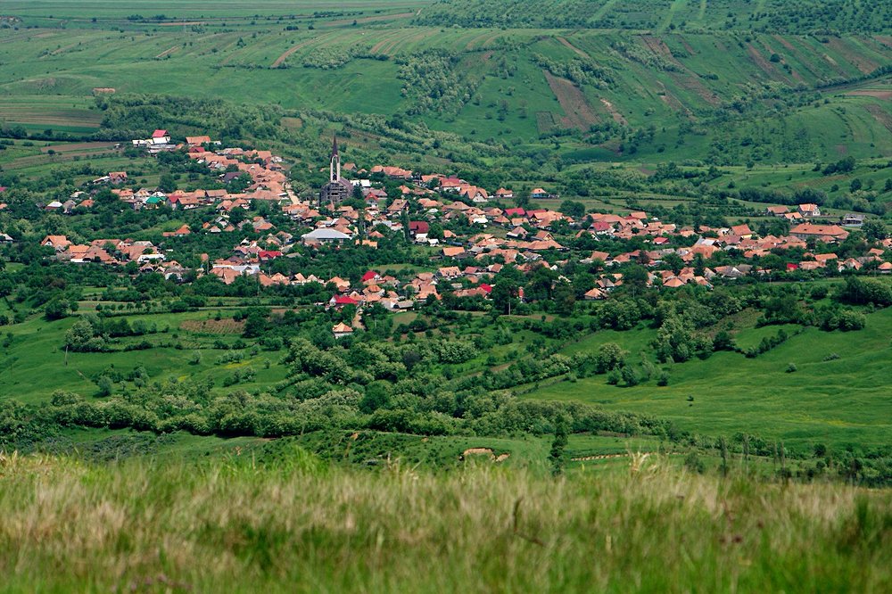Compact village