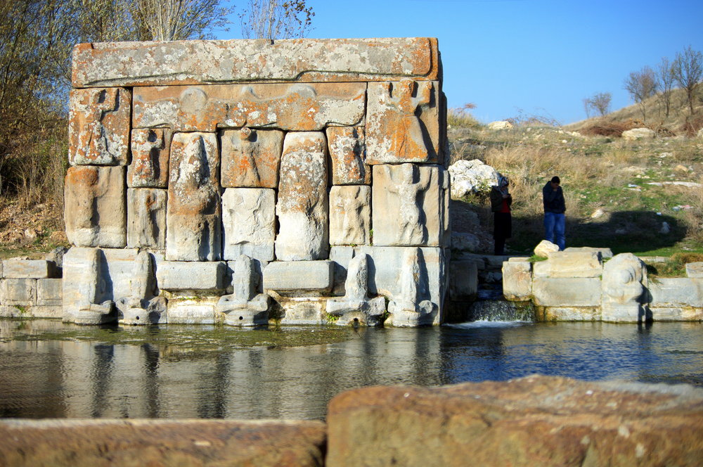 Purple Springs