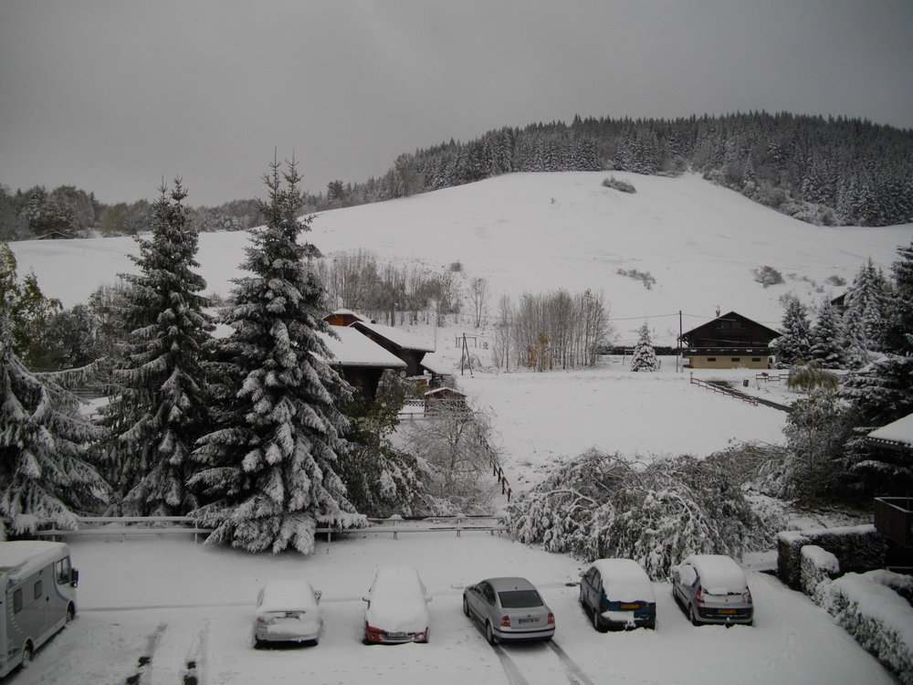 View from my back door