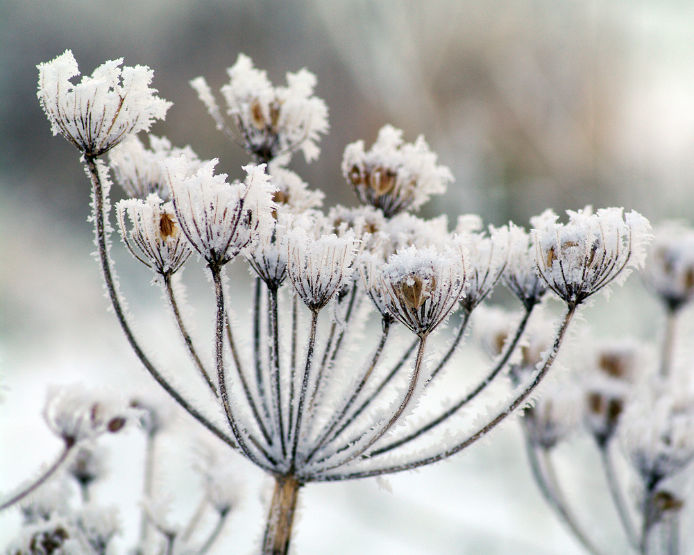 Winter one