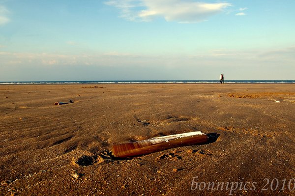 A Walk at Low Tide