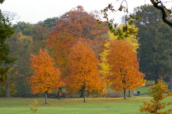 Autumn in barnsley yorkshire 2010