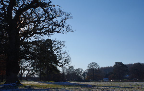 Crisp Morning