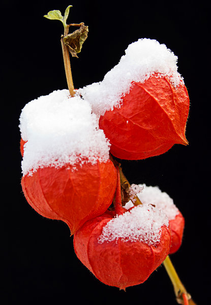 First snow