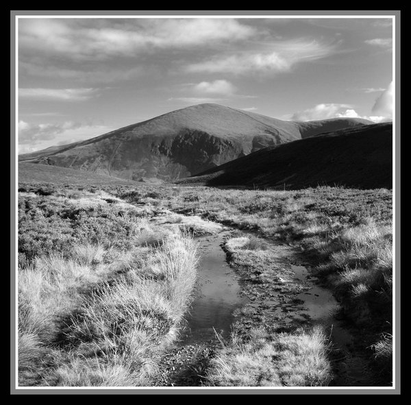 Flooded Ruts: North Wales