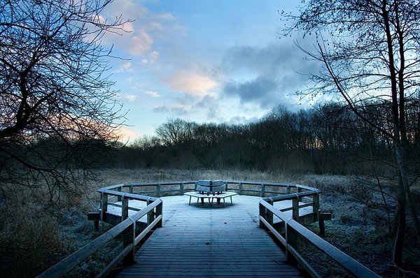 Frosty dawn at the nature reserve