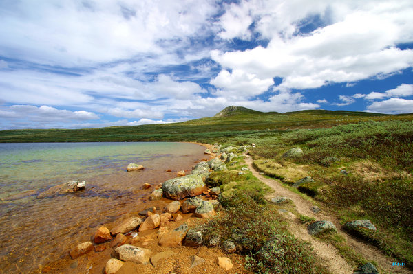 Hardangervidda (2)