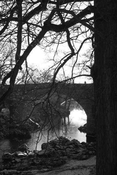 Misty Bridge