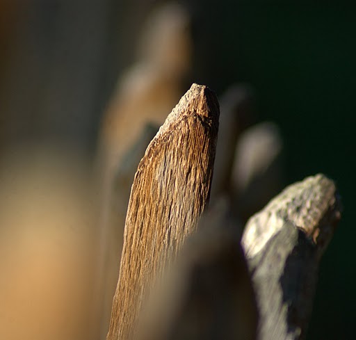 one at the center