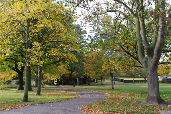 Parklife