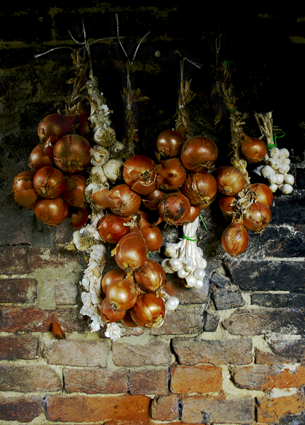Plaited garlic and onion
