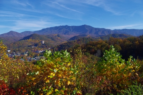 Smoky Mountains Fall 2010