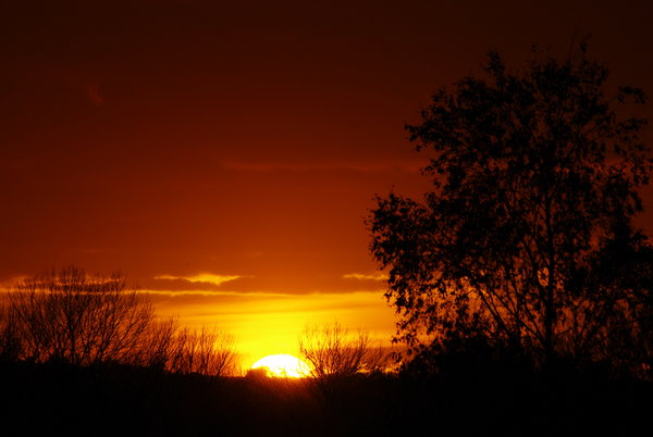 Stafford Sunset