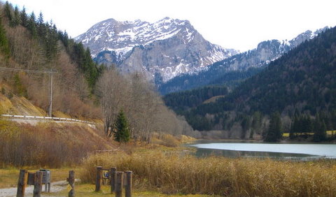 Taken near my home in the Alps with my PentaxOptioE90