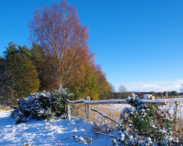 Winter five