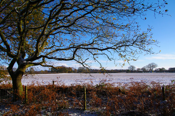 Winter six