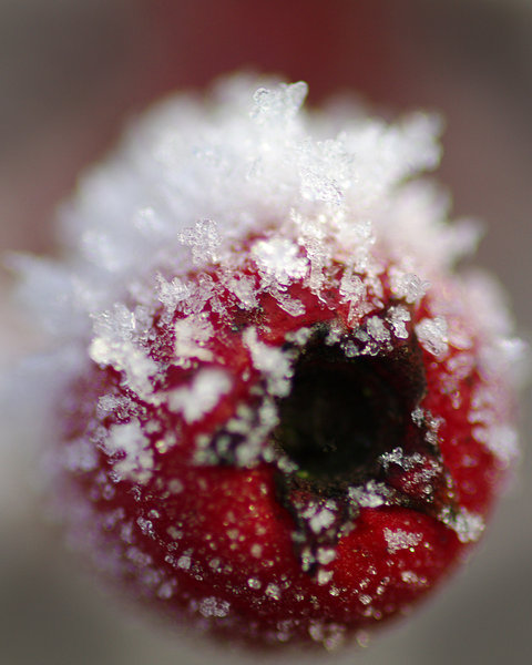 Winter three