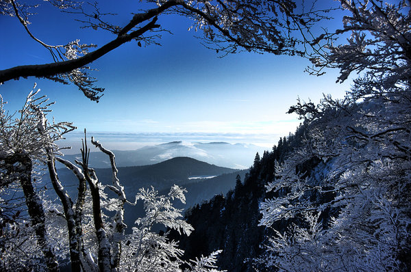 Winter Wonderland