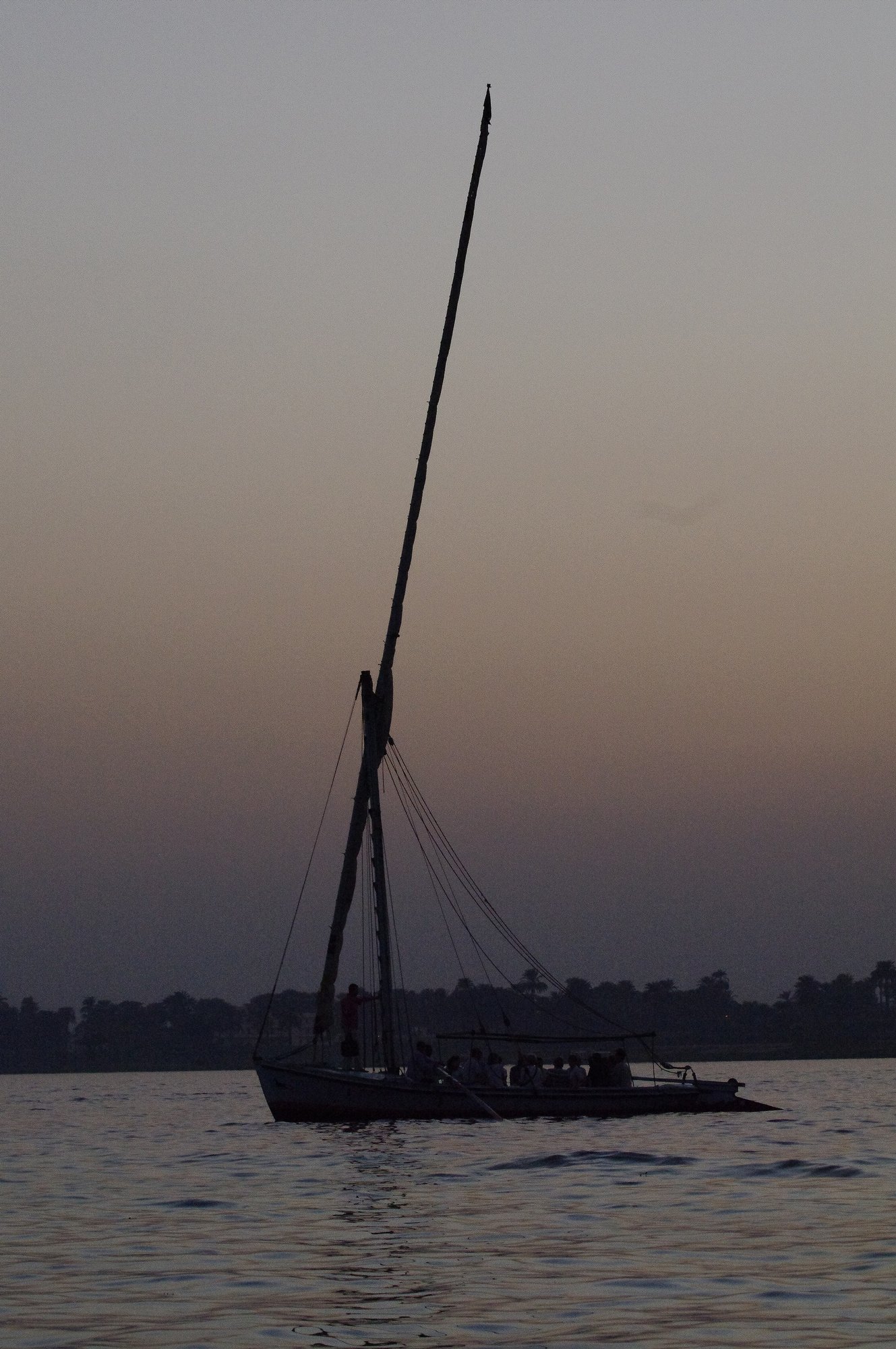Nile feluca