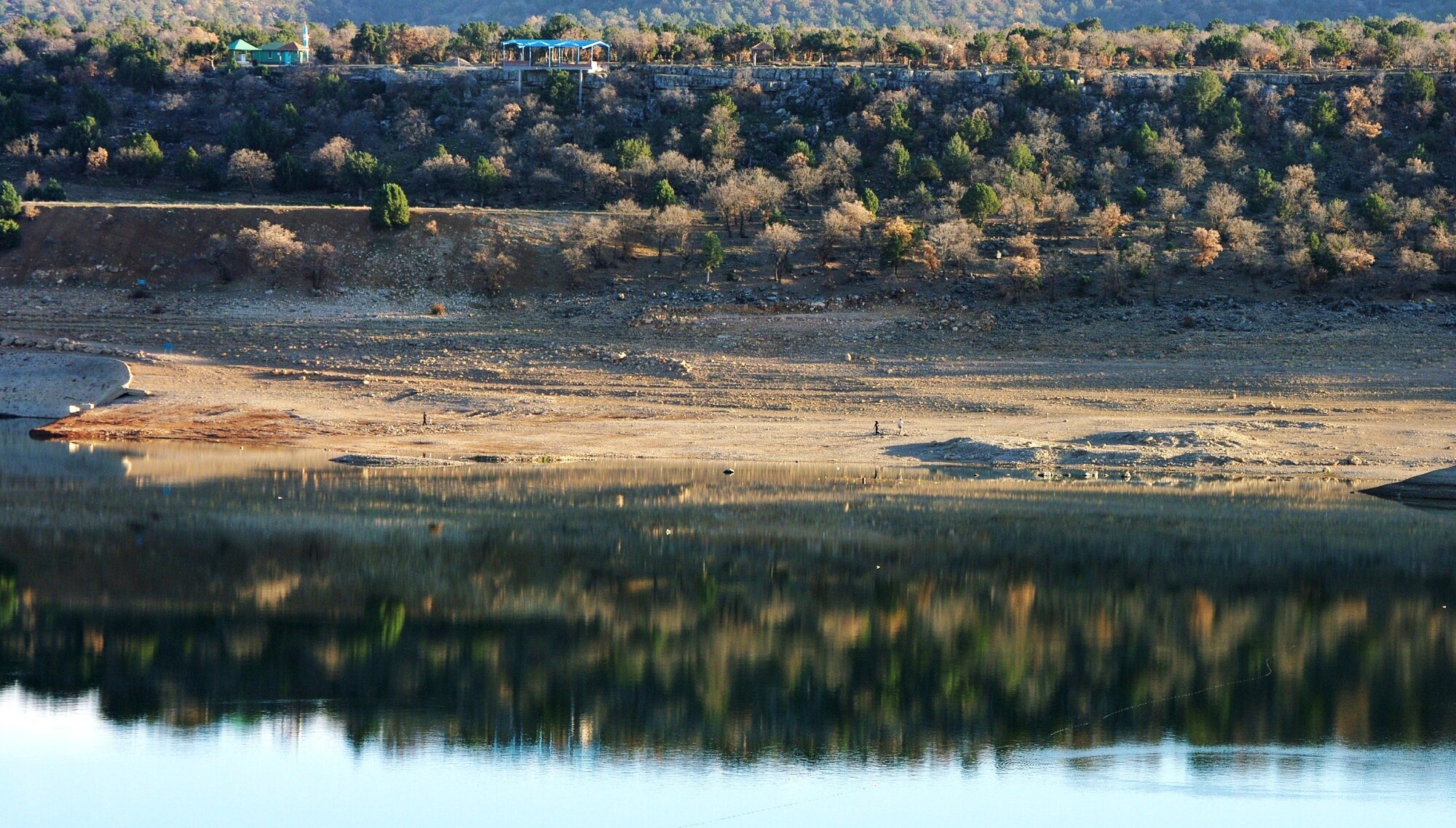 Reflection