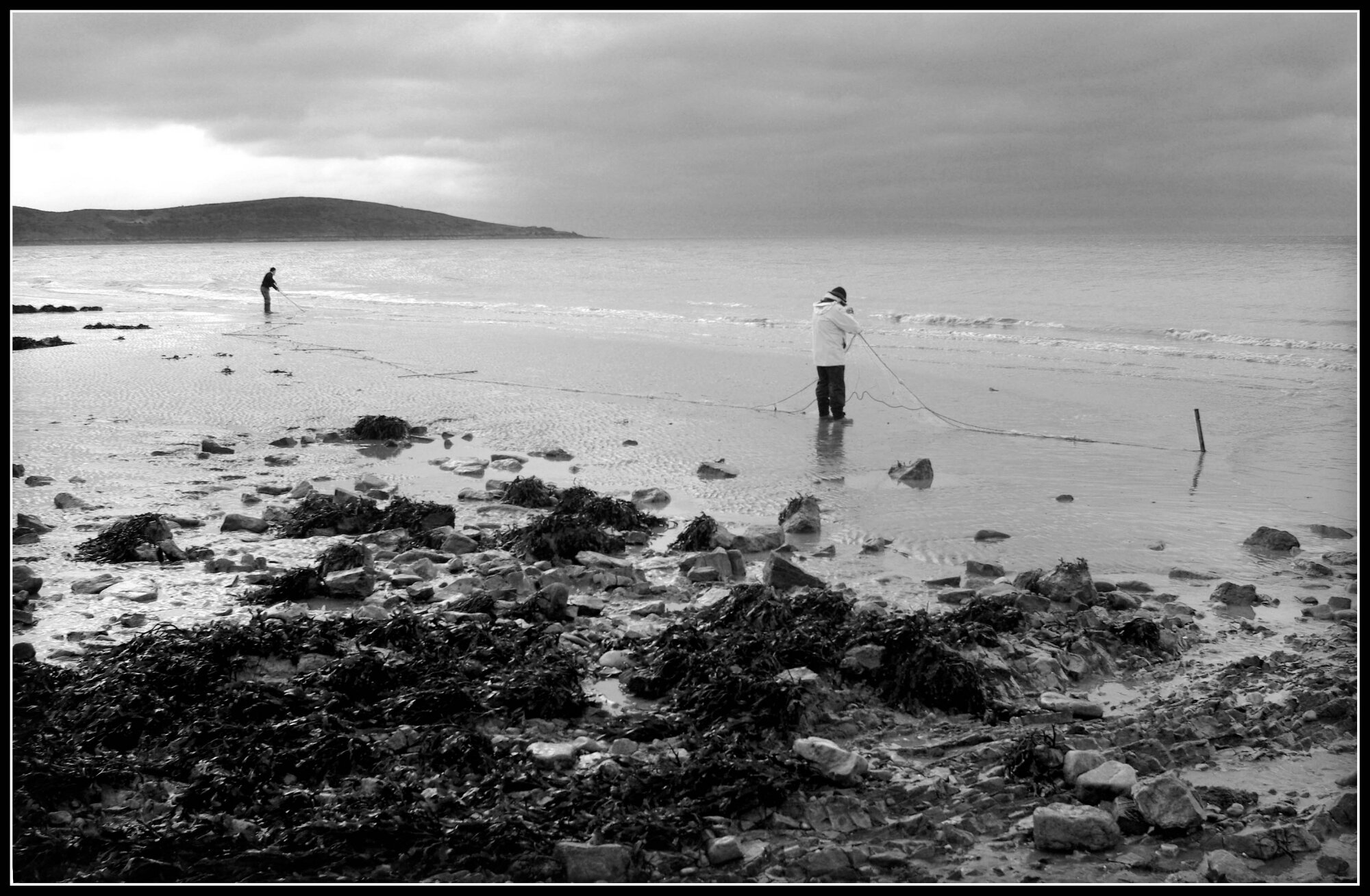 Setting  Nets at Low Tide