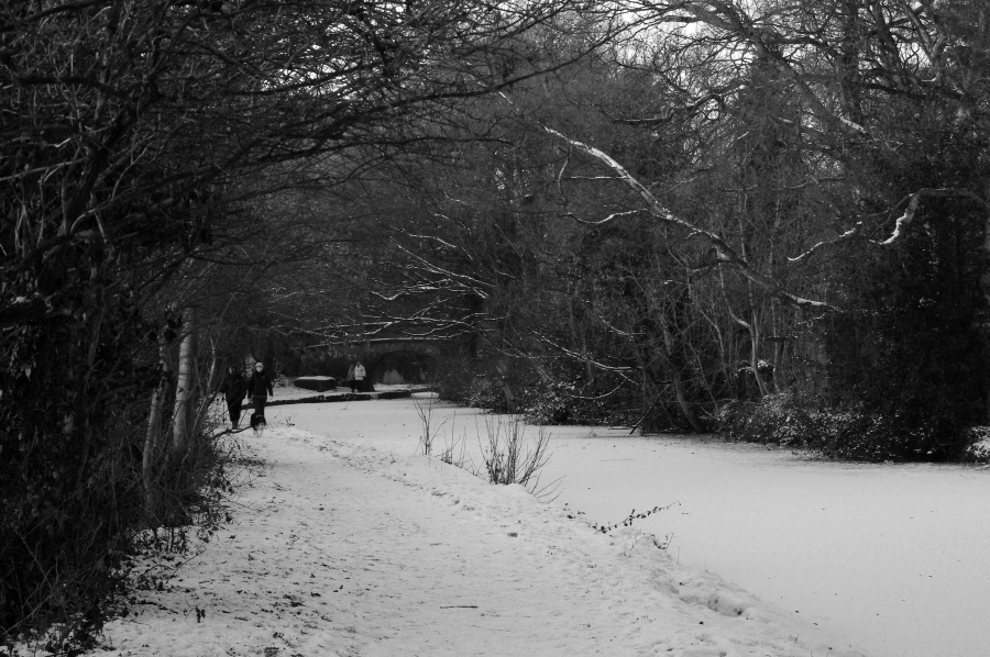 A cold walk along the canal