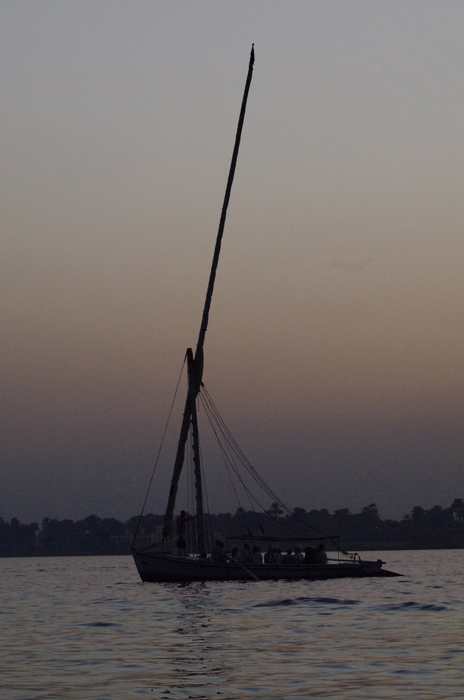 Nile feluca