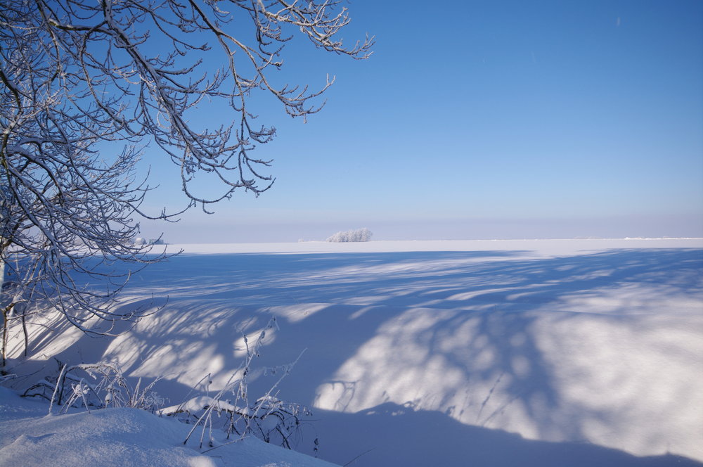 North Lincs or Siberia?