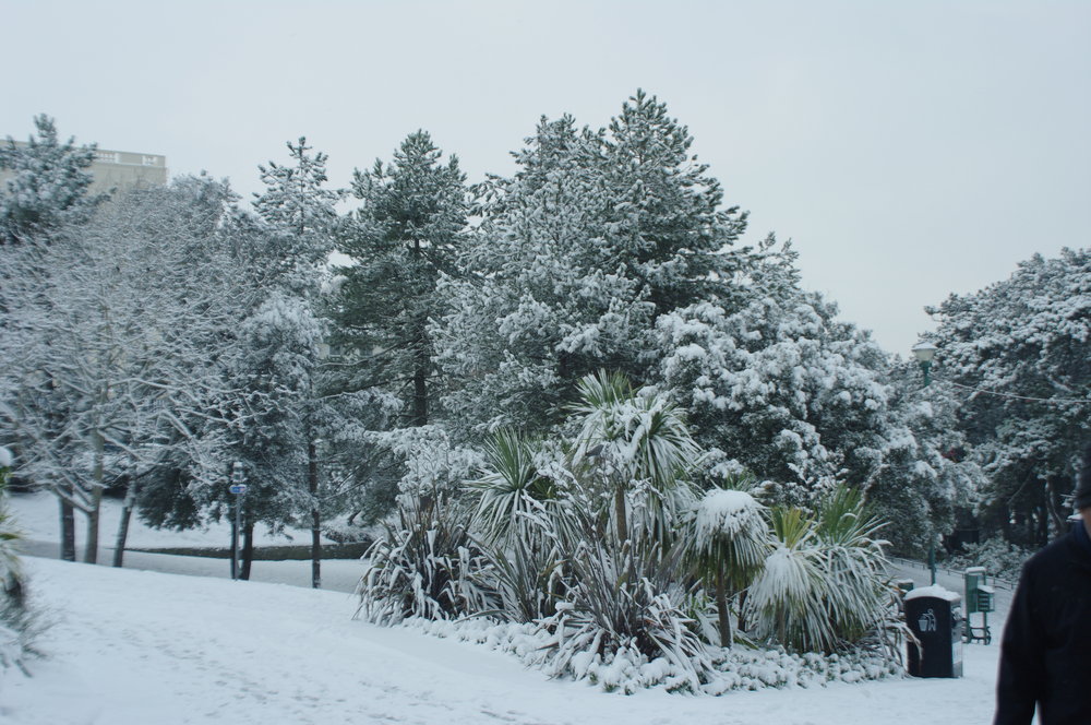 Snow in Bournemouth