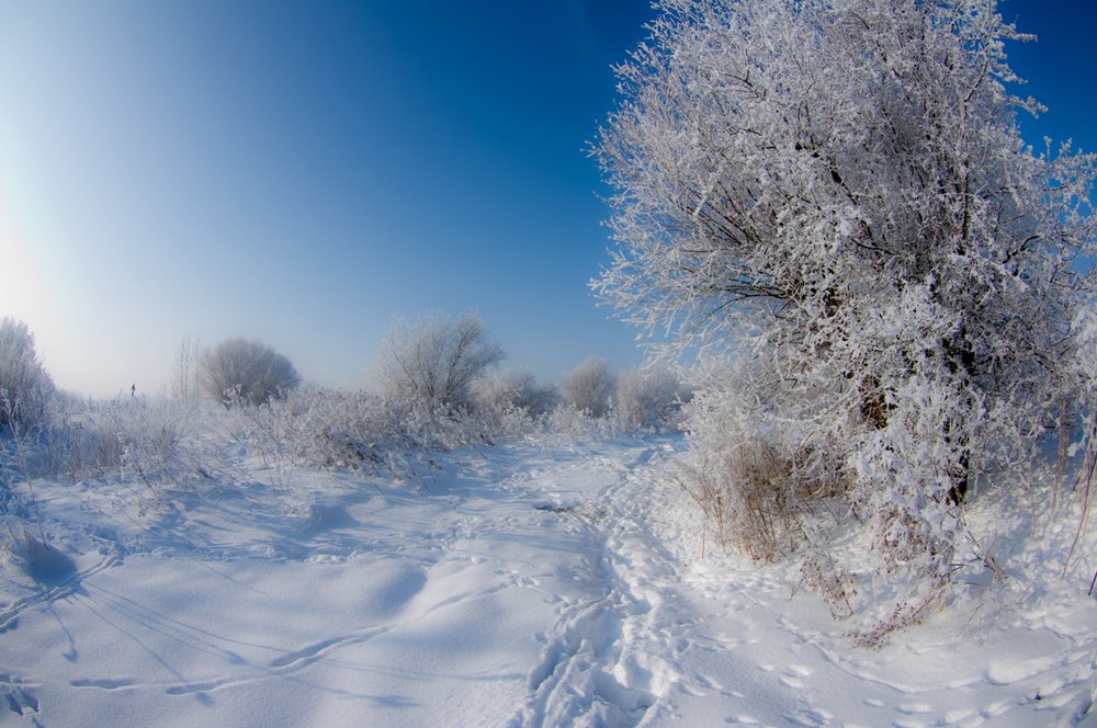 Winter in Poland