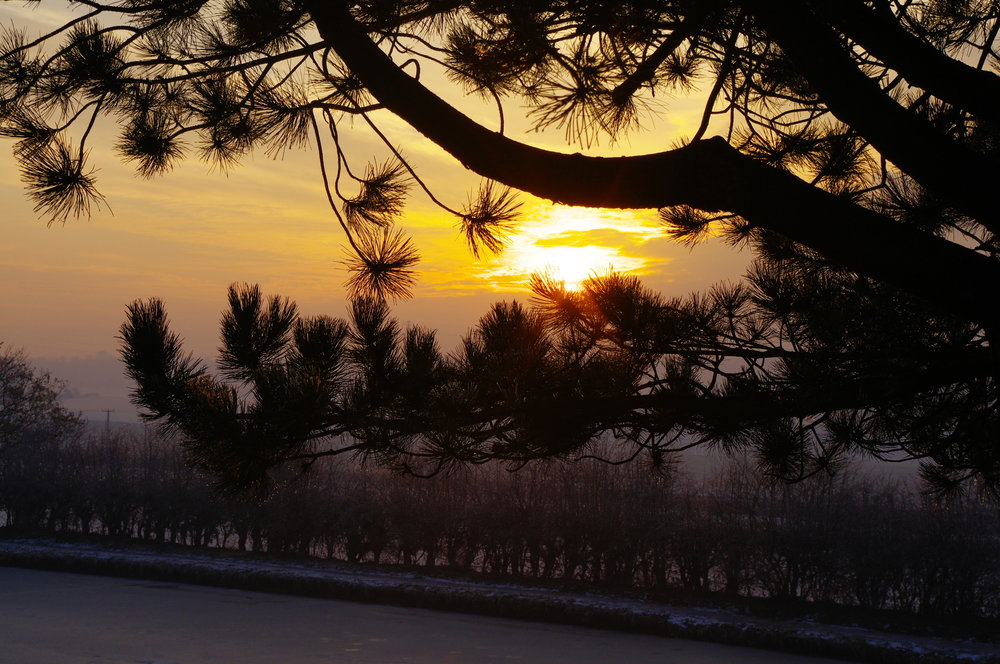 Winter Sunset